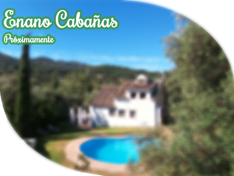 petalo4-enano-cabanas